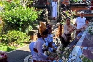 WhatsApp Image 2026-02-12 at 22.44.55 (1)