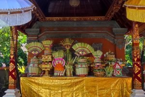 WhatsApp Image 2026-02-12 at 22.44.55 (3)