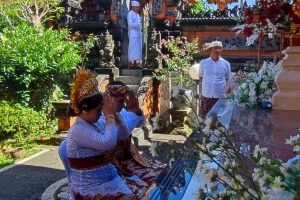 WhatsApp Image 2026-02-12 at 22.44.55