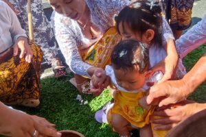 WhatsApp Image 2026-02-12 at 22.44.56 (6)